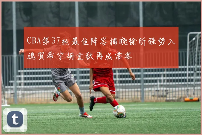 CBA第37轮最佳阵容揭晓徐昕强势入选贺希宁胡金秋再成常客