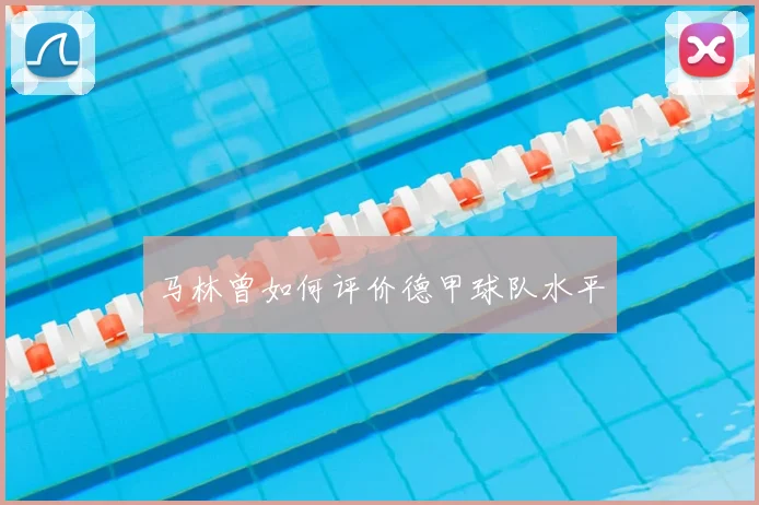 马林曾如何评价德甲球队水平